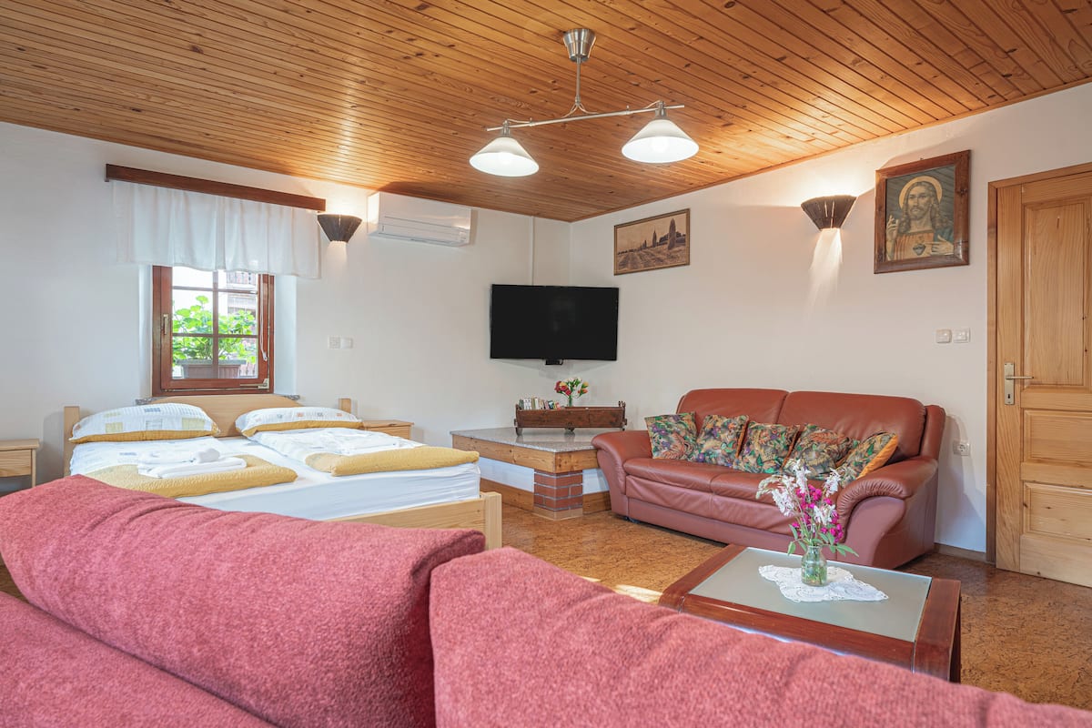 Une pièce comprenant un lit, un canapé, une télévision et un plafond en bois.