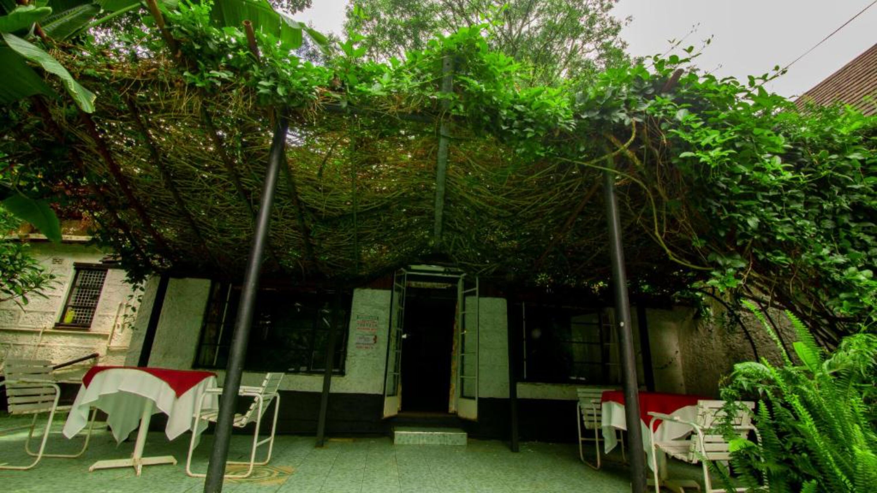 An outdoor cafe with tables and chairs, surrounded by lush greenery and a stone wall.