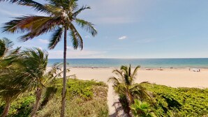 A beach with palm trees and a clear view of the ocean. - Full Remodel, Direct Beachfront 3rd Floor Corner Unit, Fantastic Views! (Pompano Beach)