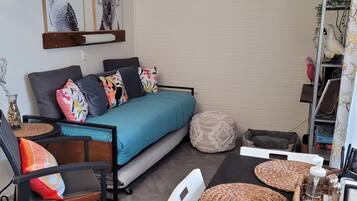 Télévision, lecteur de DVD, livres