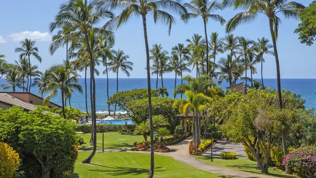 A tropical resort with a well-maintained lawn, palm trees, and a view of the ocean.