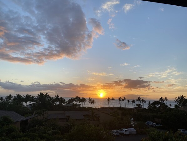 A sunset view with palm trees and a beach in the background.