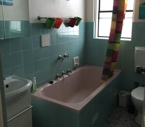 Combined shower/bathtub