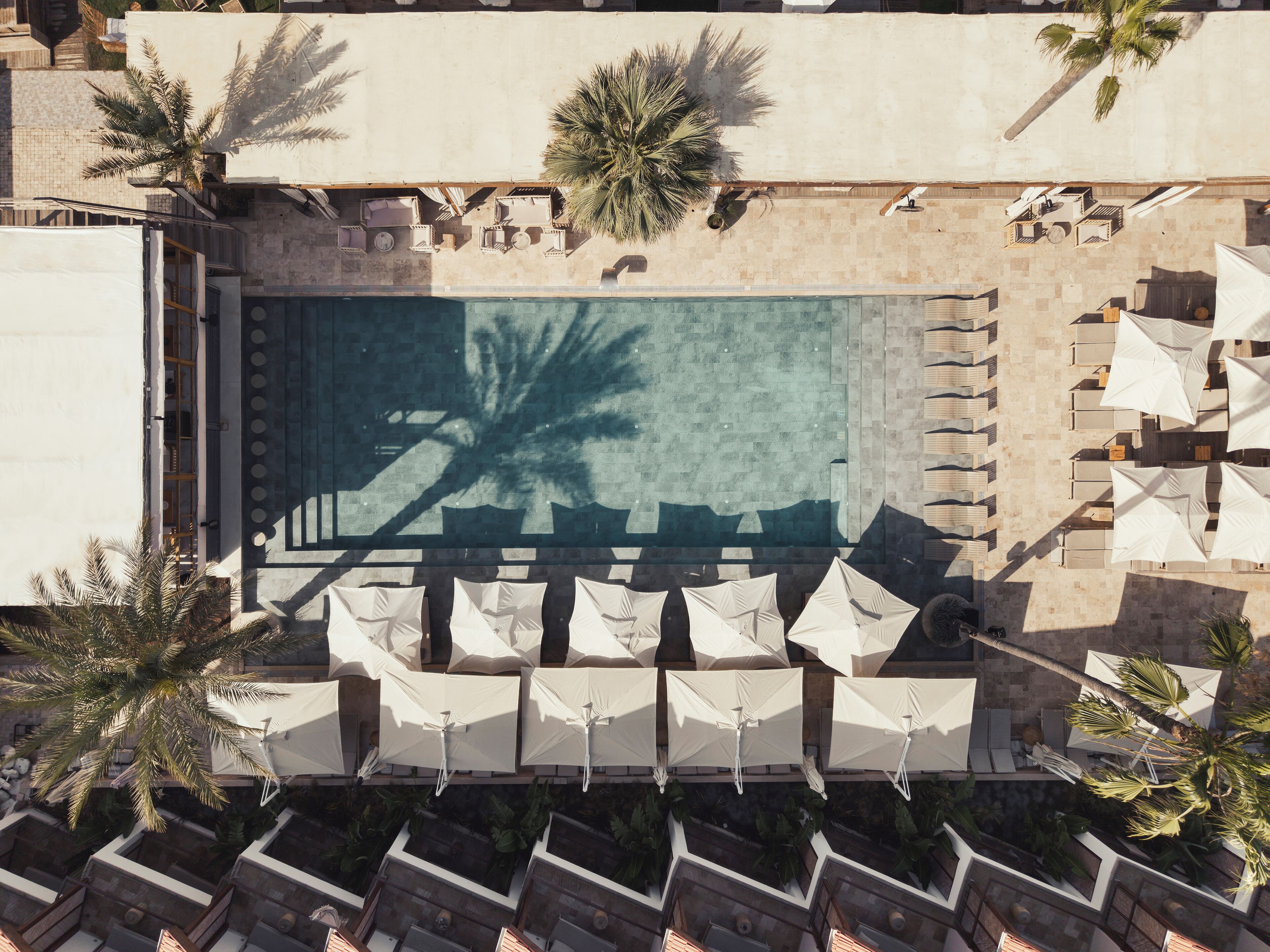 Vue aérienne d’une piscine entourée de chaises longues et de palmiers.