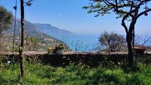 Eine Küstenlandschaft mit einer Steinmauer, einem Baum mit hängendem Schmuck und im Hintergrund Meer und Berge.