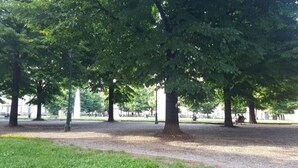 A park with large trees, a paved walkway, and a fountain. - Casa Mirtillo (Turin)