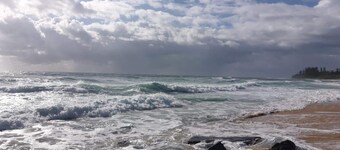 Colourful Shelly Beach Townhouse + Pet-friendly