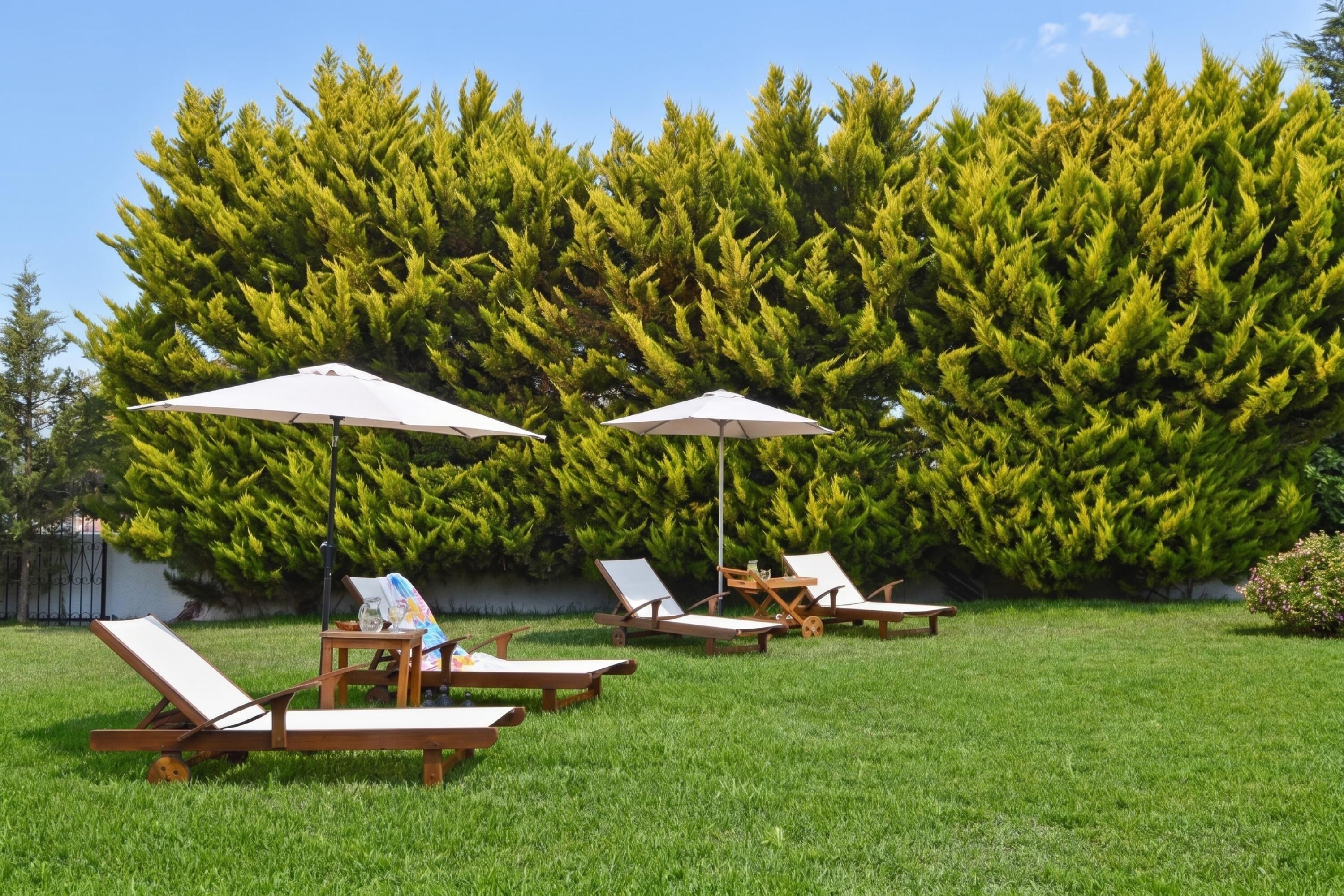Family Villa, Multiple Bedrooms (Villa John Dimeon Kato Achaia With) | Property grounds
