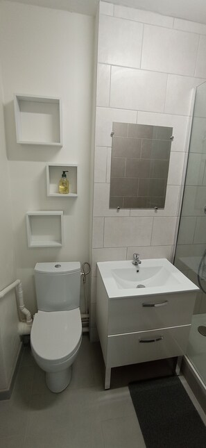 Shower, hair dryer, toilet paper