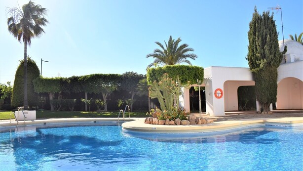 En swimmingpool med palmetræ og ciprestræ i baggrunden.