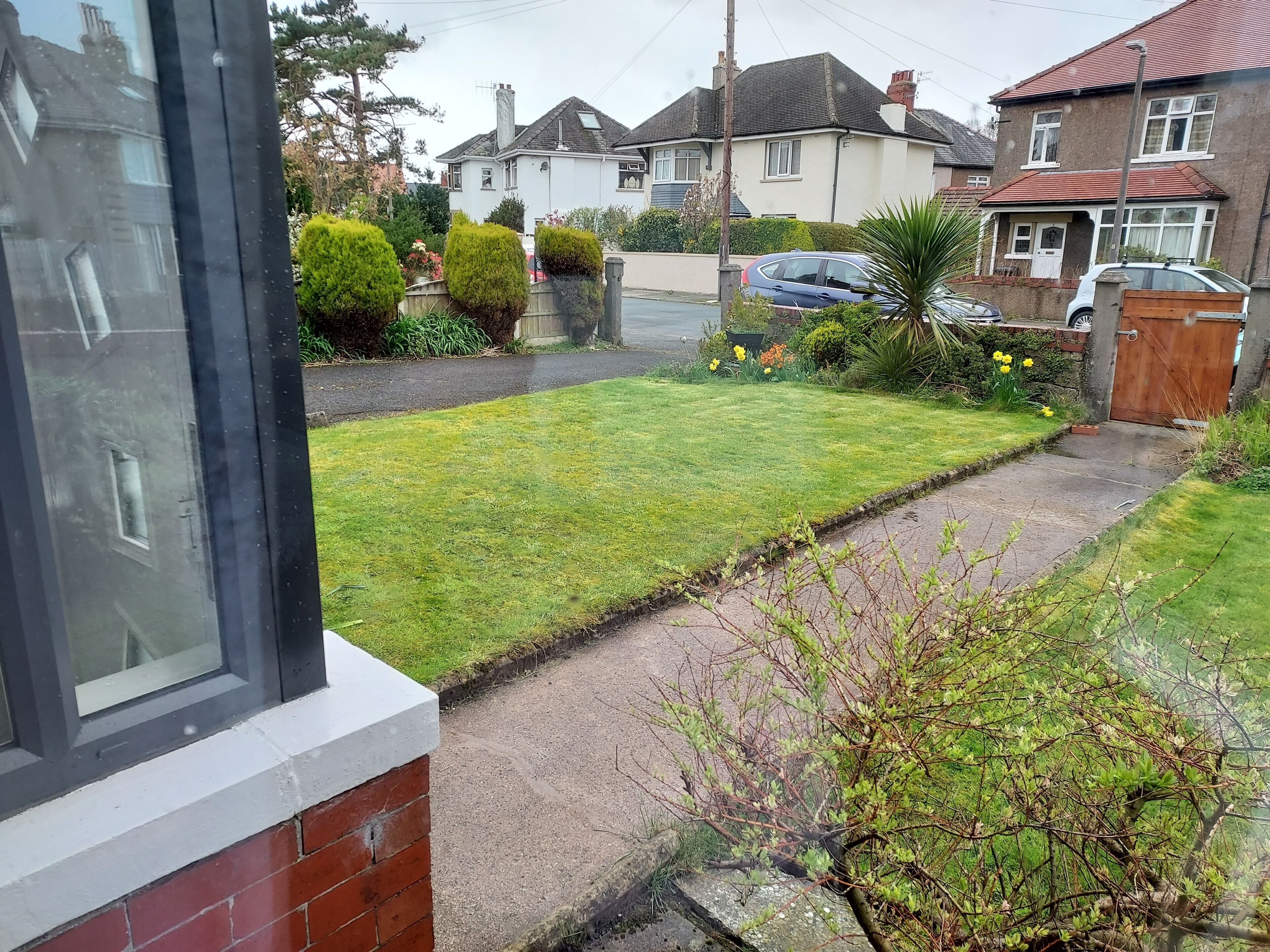 A residential garden with a lawn, a pathway, and a wooden fence.
