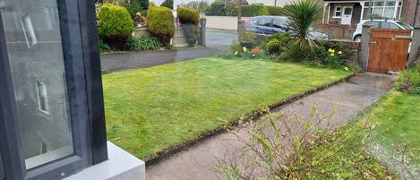 A residential garden with a lawn, a pathway, and a wooden fence.