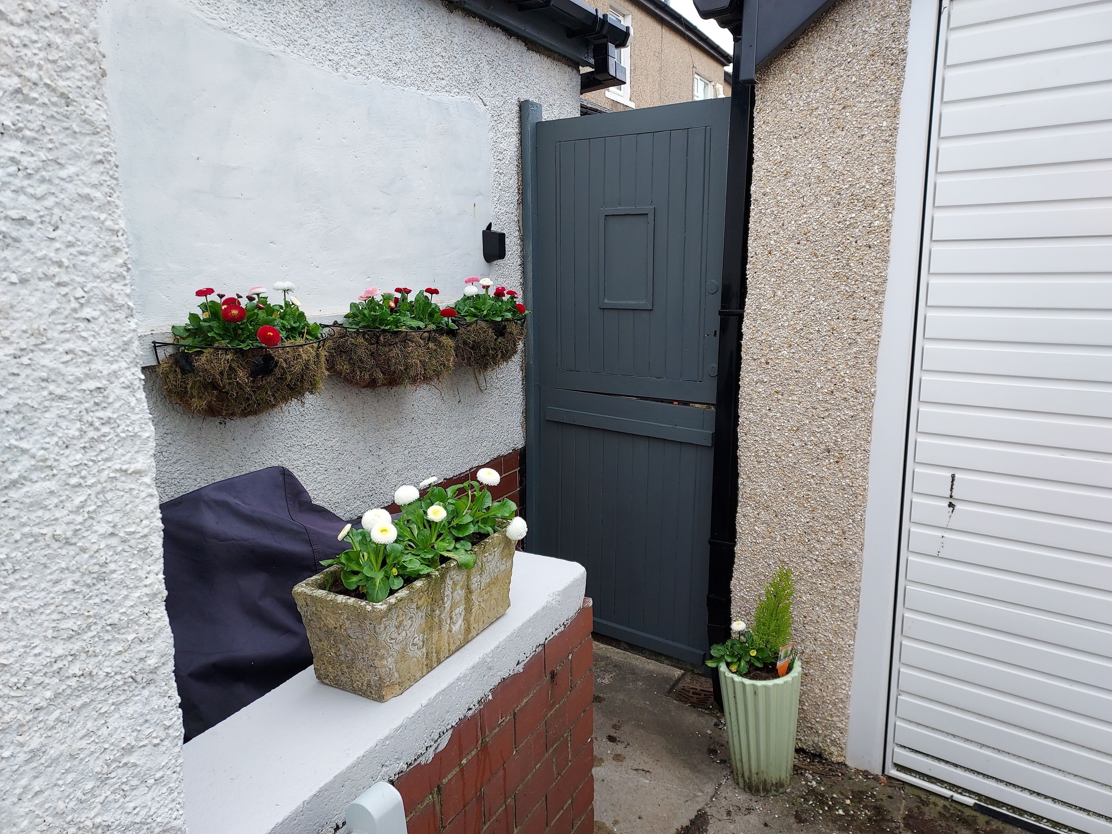 Un espacio exterior reducido con una pared blanca texturizada, un portón gris y una maceta verde peque ña con una planta.