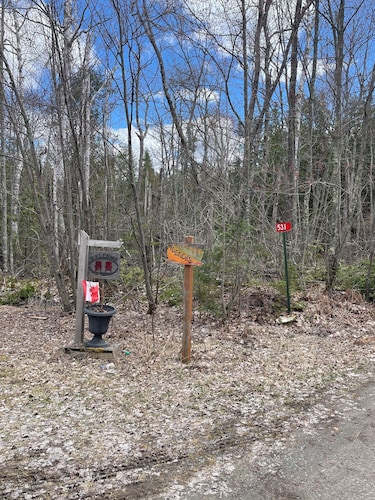 Cozy cabin on shores of Rainy Lake - fantastic fishing!