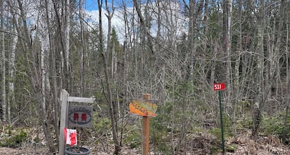 Cozy cabin on shores of Rainy Lake - fantastic fishing!