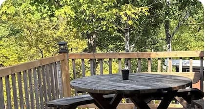 Cozy cabin on shores of Rainy Lake - fantastic fishing!