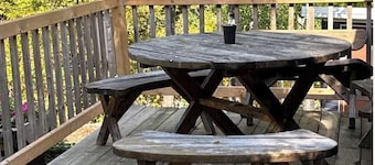 Cozy cabin on shores of Rainy Lake - fantastic fishing!