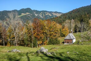Exterior - Modern vacation hut in a quiet, secluded location at the foot of the Hirschberg, with terrace (Bizau)