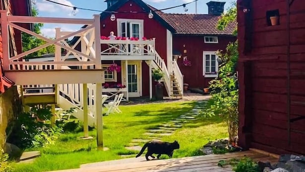 A wooden deck with a bench, a red building with a flag, and a cat walking on the grass.