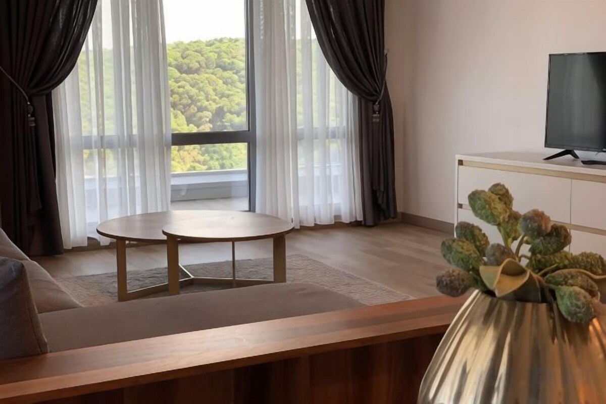 Living area | TV
