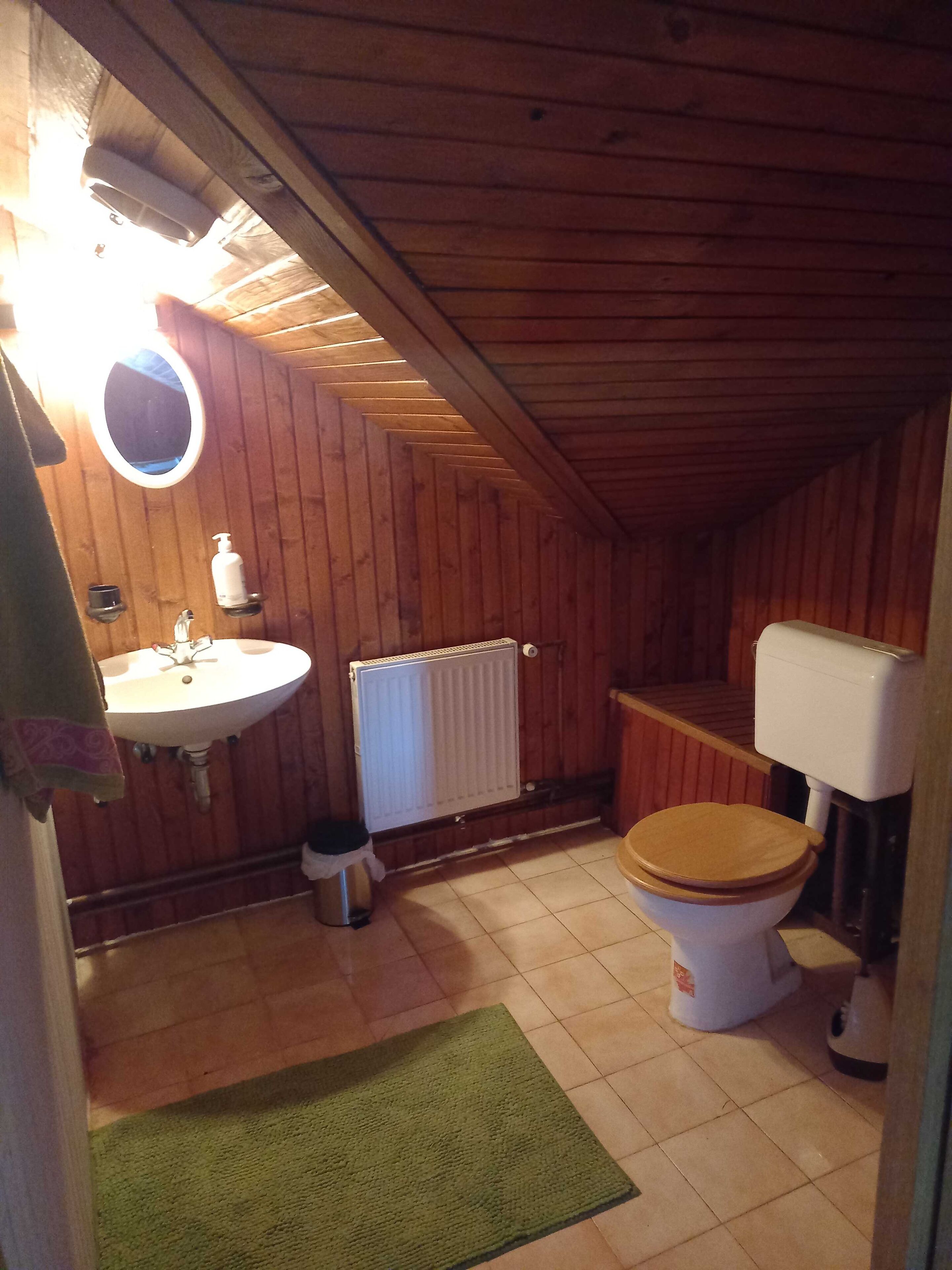 Rumah (Country House Aleš near Mura) | Kamar mandi | Shower dan handuk