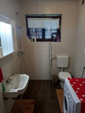 House (Country House Aleš near Mura) | Bathroom - Country House Aleš (Crenšovci)