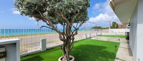 A tree in a circular planter, a white fence, and a view of the ocean.