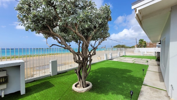 A tree in a circular planter, a white fence, and a view of the ocean.
