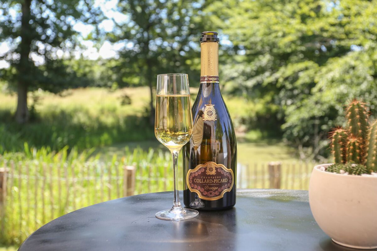 Une bouteille de champagne et un verre posés sur une table à l’extérieur, avec de la verdure en arrière-plan.