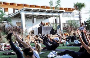 Property grounds - Under The Live Oaks: Where Serenity Awaits (North Charleston)