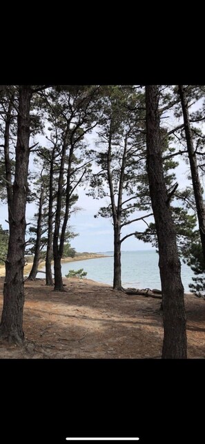 Beach nearby - Port du Crouesty. duplex rénové, calme, terrasse, idéal en famille (6 pers) (Arzon)