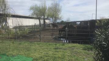 Parco della struttura