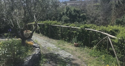 Tenuta Terradifuoco has a restaurant, bar, a shared lounge