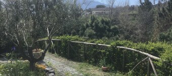 Tenuta Terradifuoco has a restaurant, bar, a shared lounge