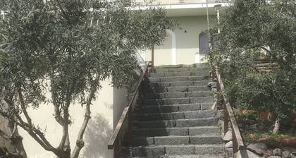 Tenuta Terradifuoco has a restaurant, bar, a shared lounge