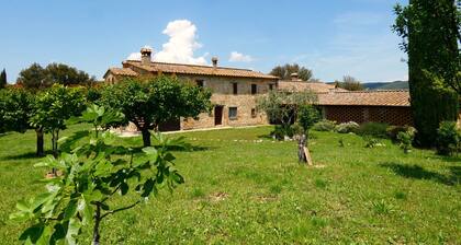 I run away to Umbria, Monti