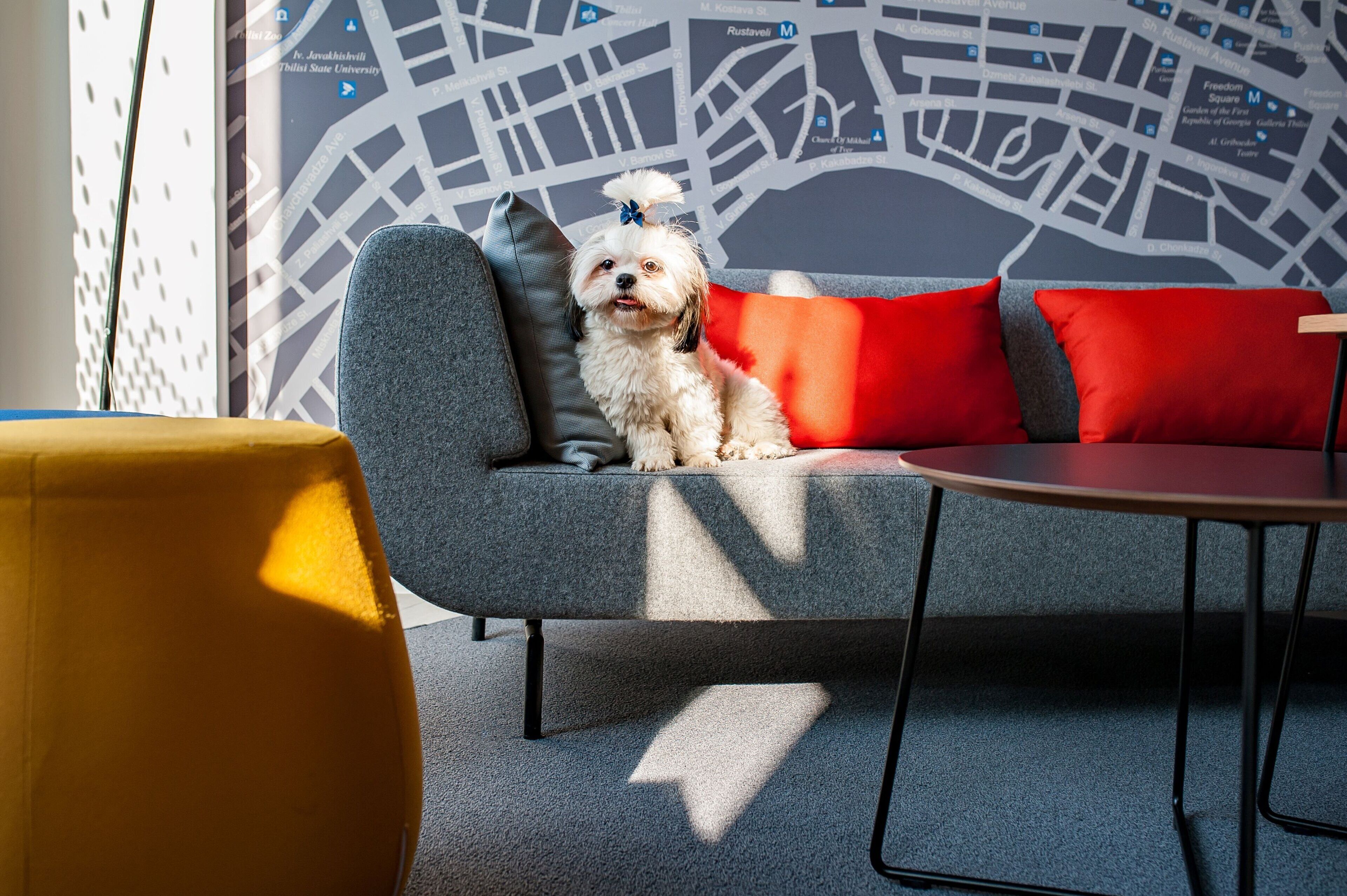 Photo - Hotel Avlabari