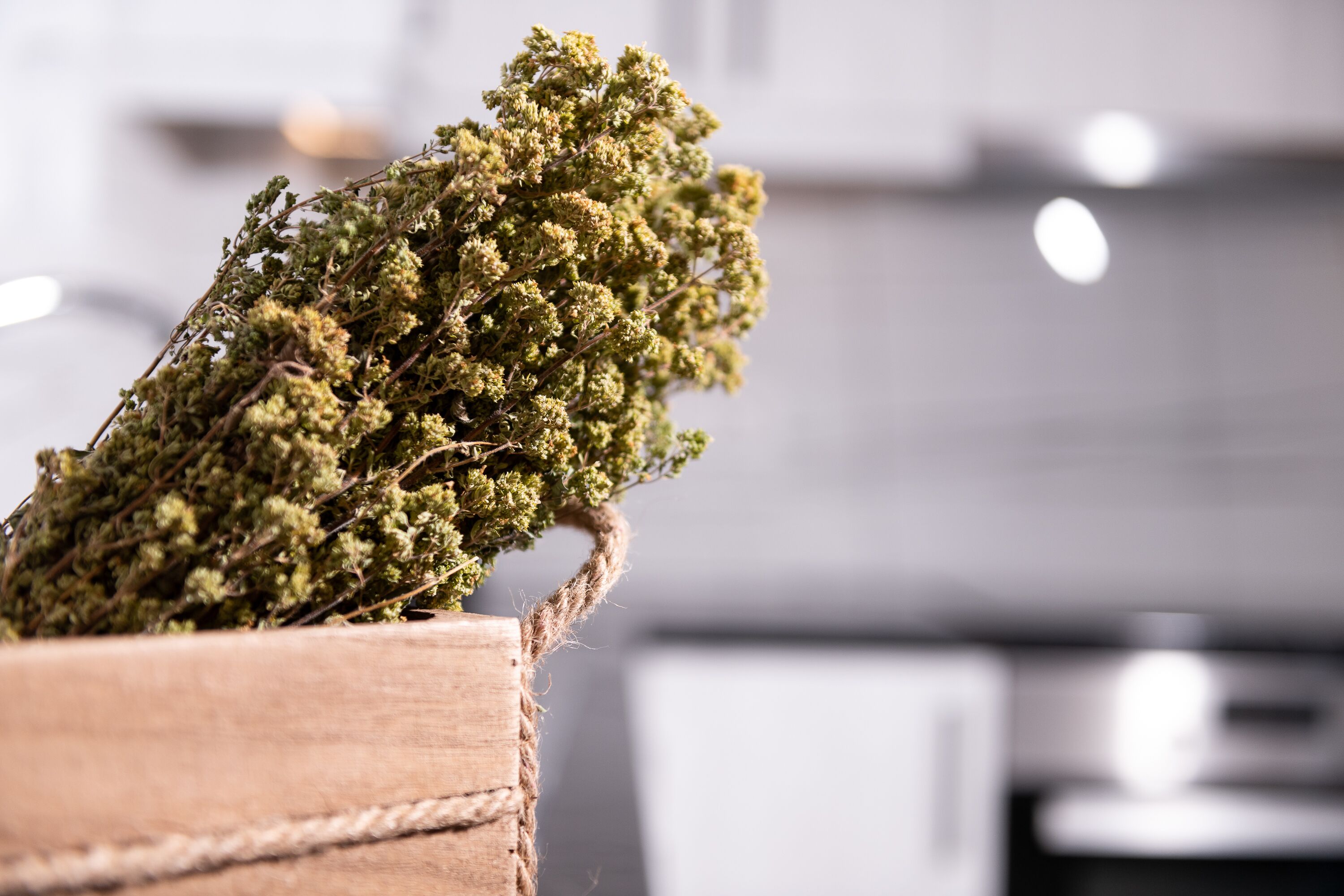 A wooden planter with a rope handle containing green foliage.