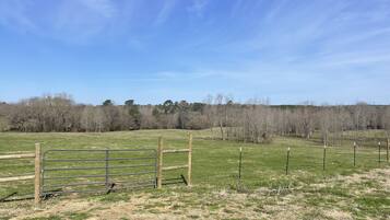 Àrea exterior de l'allotjament