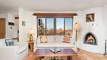 Smart TV, fireplace, DVD player, books