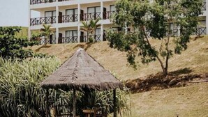 Un hôtel avec une piscine, un chalet au toit de chaume et un arbre.