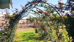Ein Garten mit einem Metallbogen, der mit blühenden Pflanzen bewachsen ist.