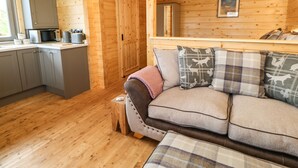 A cozy cabin interior with a wooden floor, a sofa with patterned cushions, a kitchen area with grey cabinets, and a wooden ceiling. - Otters Holt (Darlington)