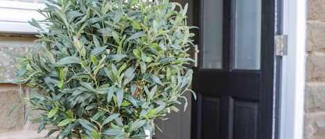 Cottage | Interior detail