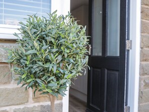 A small, dense shrubbery in a pot, positioned in front of a stone wall and a black door. - Old Peak (Scarborough)
