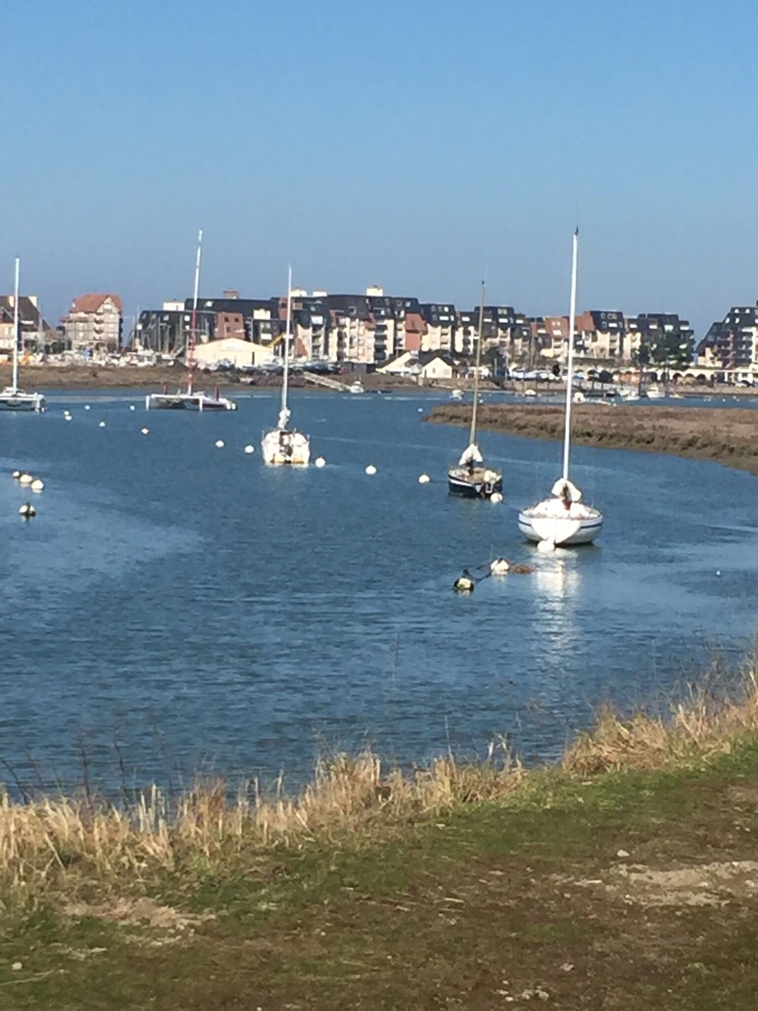 A marina with several sailboats anchored in calm waters.