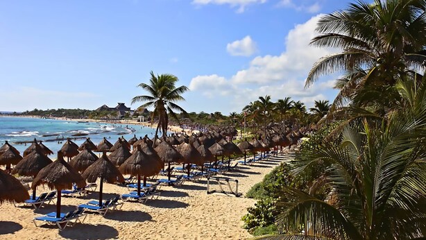 A beach with rows of thatched umbrellas and blue lounge chairs, palm trees, and a clear view of the ocean. - Lote 49 (Akumal)