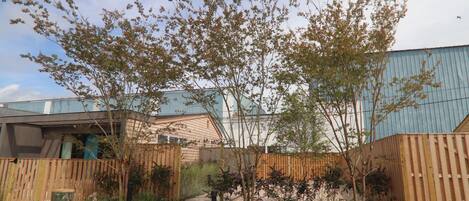 A courtyard with a wooden fence, a pathway, and a tree.