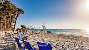 A beach with blue lounge chairs and palm trees. - Beachfront🌊3 KING suites & bunk room🛏️Pet Friendly🐾 (Captiva)