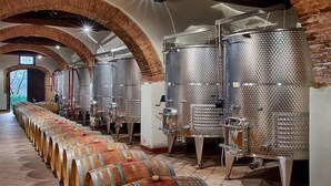 Una bodega con hileras de barriles de madera y tanques de fermentación de acero inoxidable.